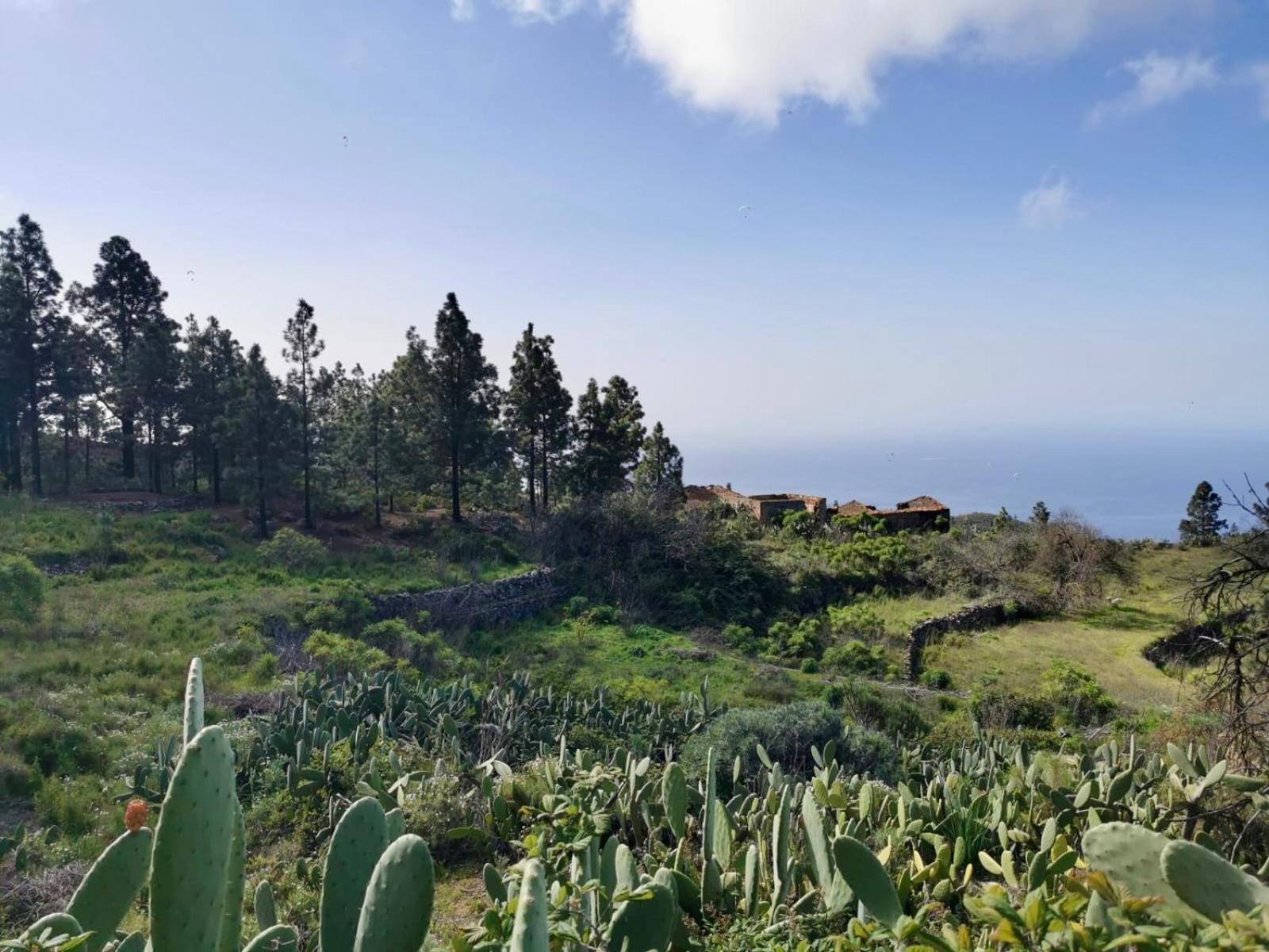 Tierrazul Art Boutique White Nordic Appartamento Costa Adeje (Tenerife)